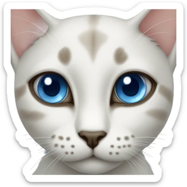 cat siames eyes blue sticker
