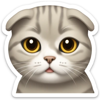 Scottish fold cat tomboy sticker
