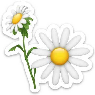 Daisy flower sticker