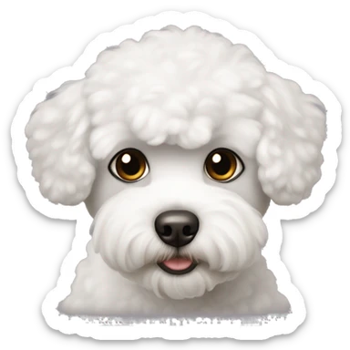 Little bichon maltés male with dark brown eyes  sticker