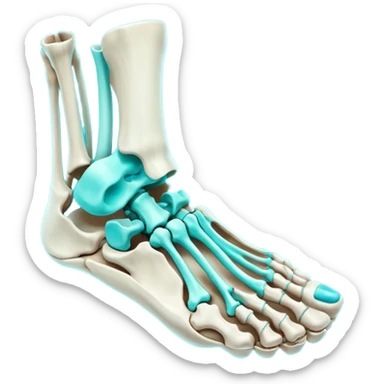 3D render of Foot Bones, X-Ray imaging aesthetic, translucent materials showing internal structure, top-down view of foot bones in cyan glow, medical scan style, emoji style, isolated on white background --v 6.0. sticker