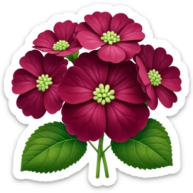Hortensia bordeaux  sticker