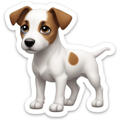 Muscular Jack Russel Terrier Puppy all white fur blue eyes, brown spot on right eye  sticker