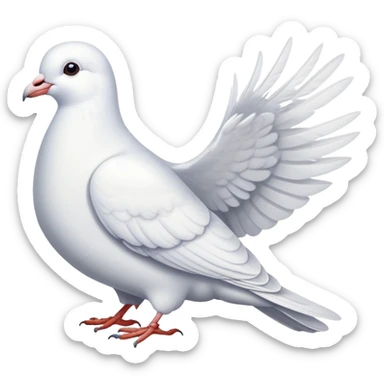 white dove pigeon sticker