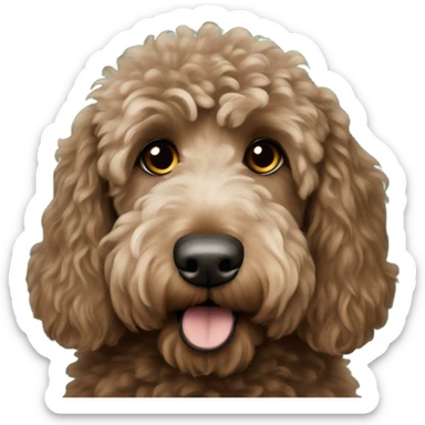 Brownish Labradoodle wearing a Philadelphia eagles jersey sticker