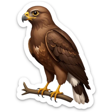 common brown buzzard sticker