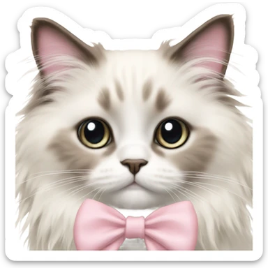 Cute Realistic ragdoll cat with pale pink bow sticker