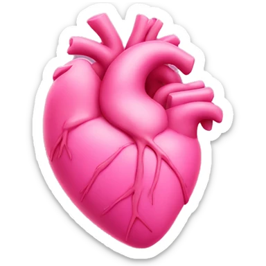 pink human heart sticker