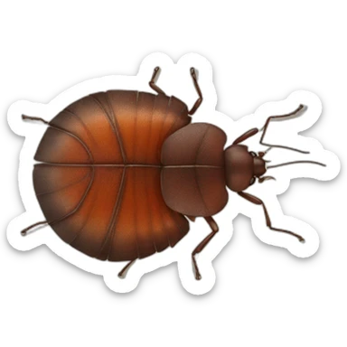 bed bugs sticker