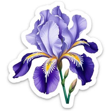 Japanese style iris flower (hanashobu) with elegant simplified lines like in ukiyo-e art, blue-purple color, traditional composition with flowing brush-like strokes sticker