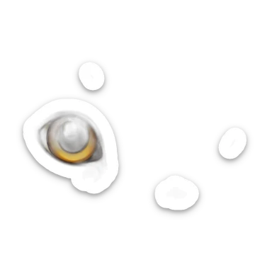 Tabby gray cat with beige mouth and dark nose and orange golden eyes sticker