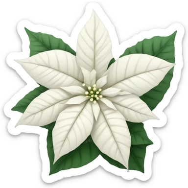 White poinsettia sticker