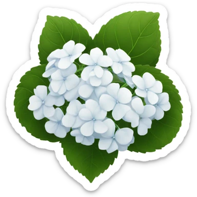 white hydrangea sticker