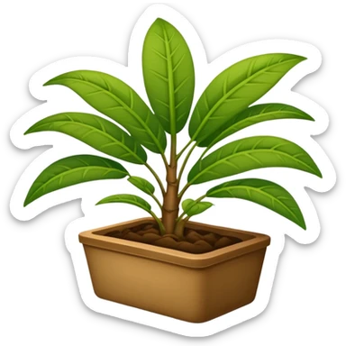 plantas abundantes tipo helecho en macetas rectangulares color café sticker