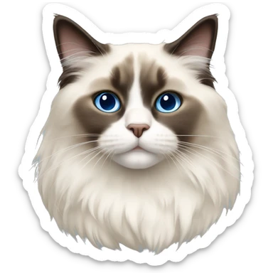 Ragdoll cat  sticker