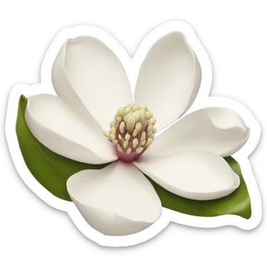Magnolia flower sticker