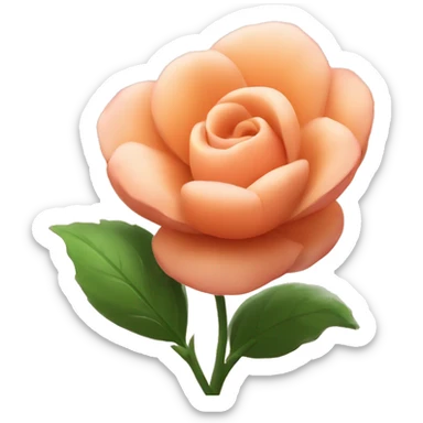 Peach colour Flower 🌹  sticker