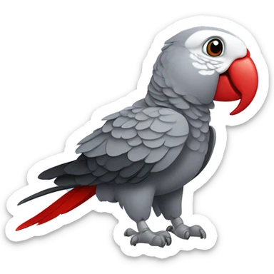 African grey parrot with red feather on his tail and not on his head sticker