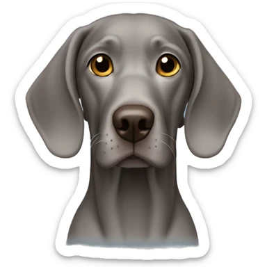 Weimaraner sticker