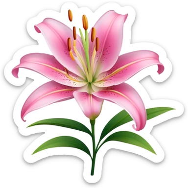 pink lily sticker