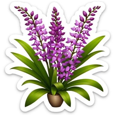 super big bouquet Rhynchostylis Orchid, stem, leaf sticker