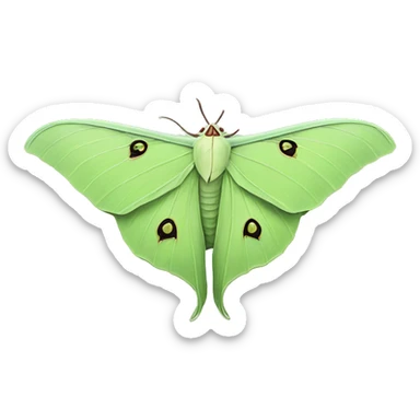 Luna moth sticker
