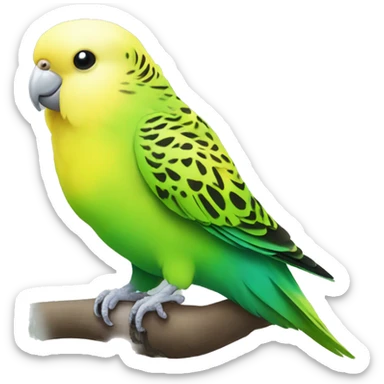 Yellow and green budgie with a green belly sticker