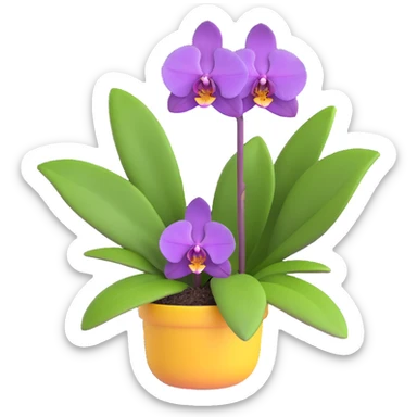 Realistic purple phalaenopsis orchid with rich lavender blooms and prominent large green leaves clearly visible sticker