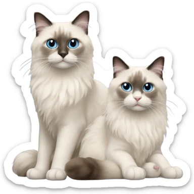 Two Ragdoll cats sticker