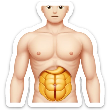 human torso with a highlighted hernia bulge sticker