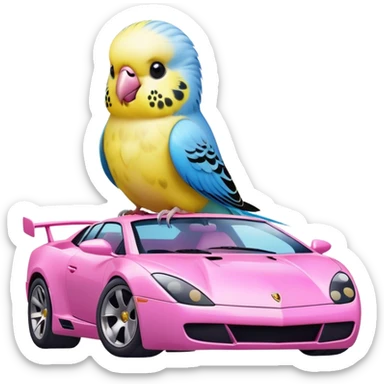 budgie on pink lamborghini pink sticker