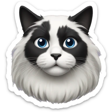 half Black and half white long hair cat with black muzzle sticker
