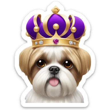 Shih tzu with a crown sticker