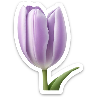 Light Purple Tulip sticker