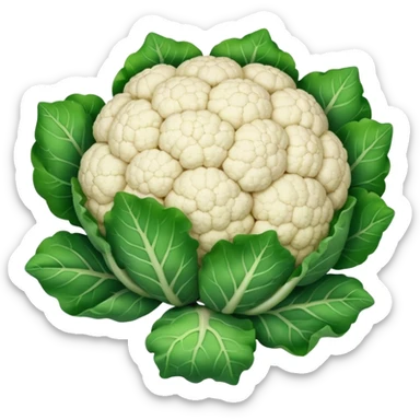 cauliflower with green leaves, soft shading sticker