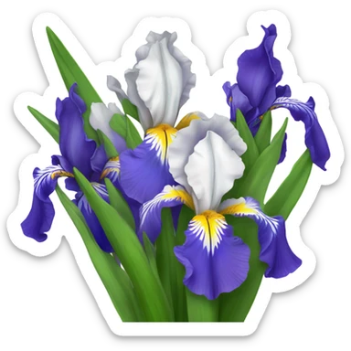 Bouquet of irises sticker