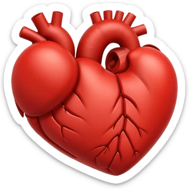 Heart
B) Liver
C) Brain
D) Lung sticker