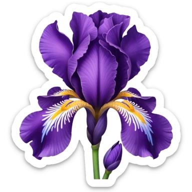 Iris  flower sticker