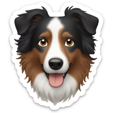 A white man with curly hair with a Border collie sticker