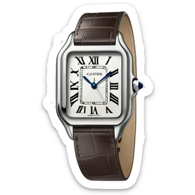 Cartier-santos-dumont-Watch sticker