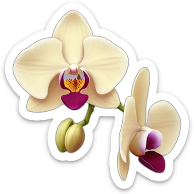 orchid sticker