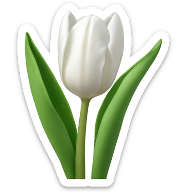 White tulips  sticker