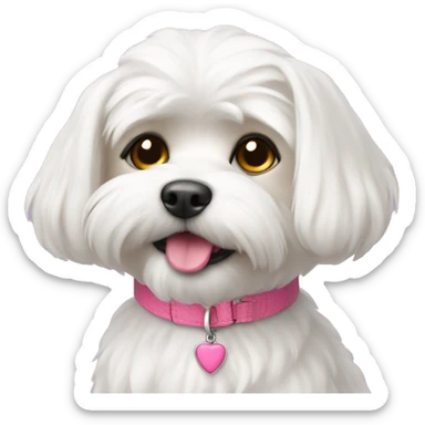 Maltese with pink collar  sticker