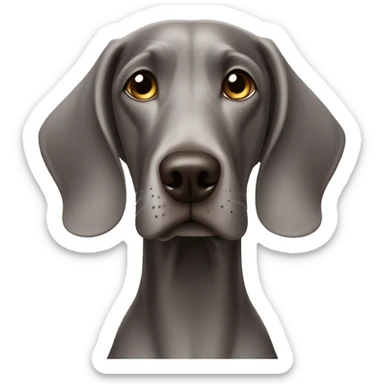 Dog weimaraner waiting for treats sticker