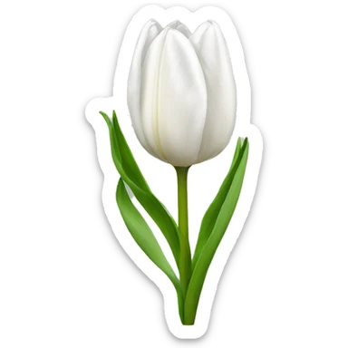 Tulip white sticker