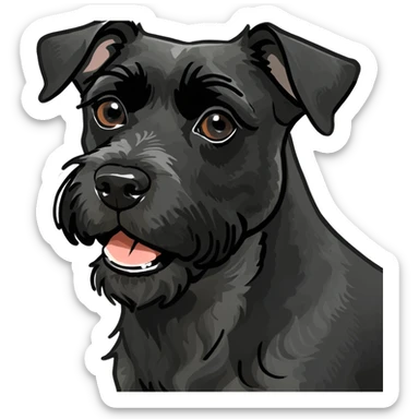 Black Schnauzer dog  sticker