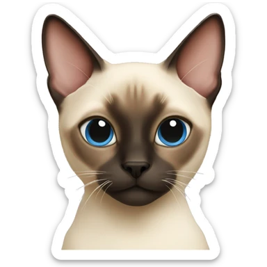 siamese cat sticker