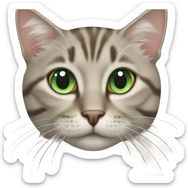 Beige grey tabby cat with green eyes sticker