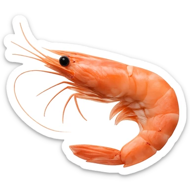 Shrimp sticker