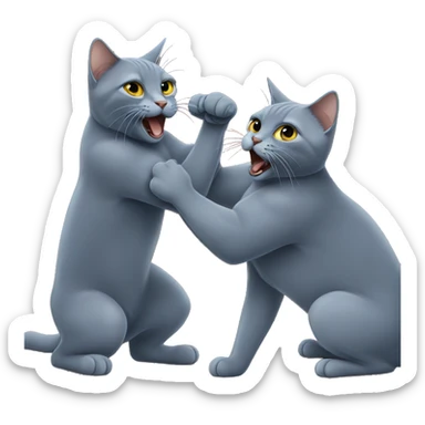 Two Russian Blue cats fighting  sticker